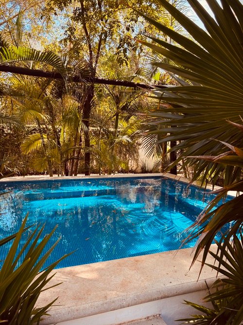 Jacuzzi con palmeras